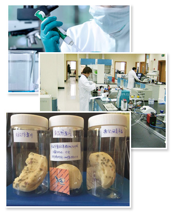 防黴片（piàn）和幹燥劑的區別