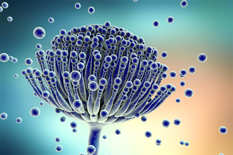 木質材（cái）料及家具加工生產過程中如（rú）何防黴?