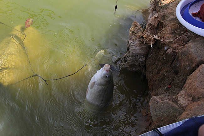 2019年羞羞视频在线观看材料-部門團建活動（dòng）5